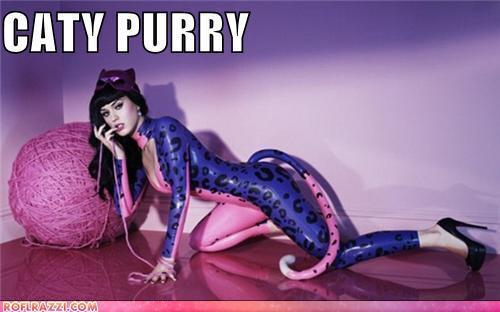  Katy Perry funnies