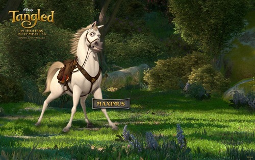  Maximus, Flynn's horse
