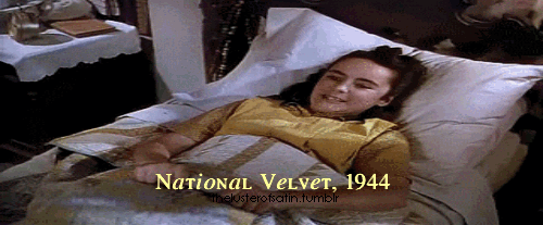  National Velvet