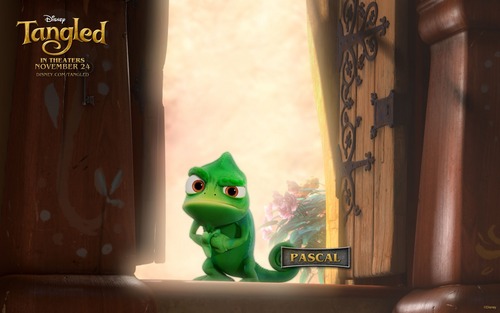  Pascal, Rapunzel's pet chamaleon in Rapunzel – Neu verföhnt