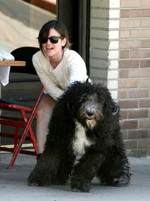  Rachel Bilson with Huge Dog!