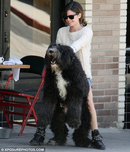  Rachel Bilson with Huge Dog!
