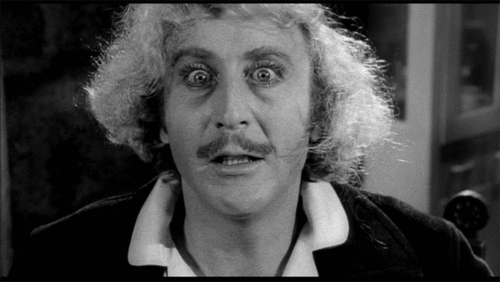  Young Frankenstein gif