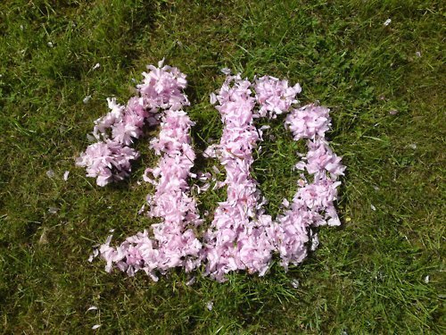  1D = Heartthrobs (Enternal pag-ibig 4 1D & Always Will) 1D In Flowers! pag-ibig 1D Soo Much! 100% Real ♥