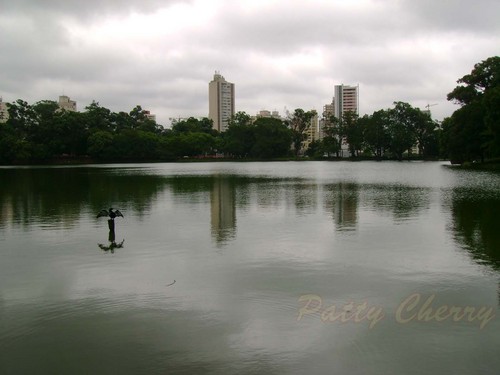  Aclimaçao Park - Sao Paulo - 22/01/2009