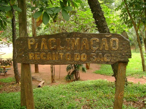  Aclimaçao Park - Sao Paulo - 22/01/2009