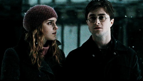  Harry&Hermione (DH)