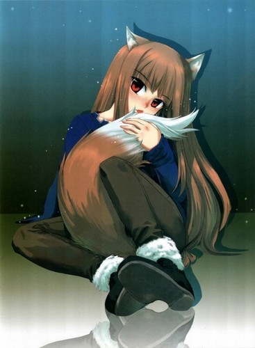  Holo & winter Loneliness