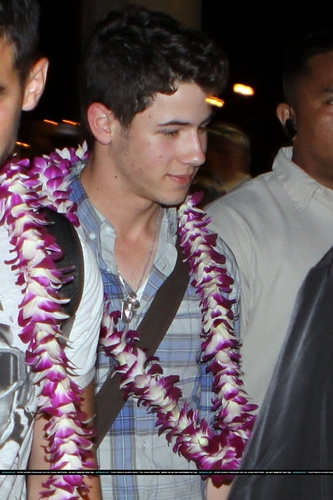  Jonas chegando no Havaí