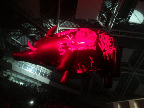  Roger Waters live