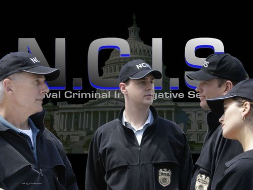  The NCIS Enquêtes spéciales Team