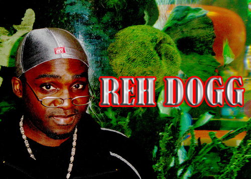  Reh Dogg Posters