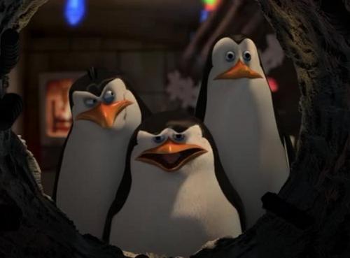  Rico, why are आप looking Kowalski with that face?