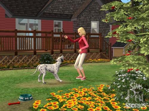  The Sims Pet Stories