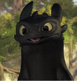  Toothless the Dragon!!!!