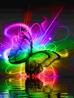  Colourful 나비
