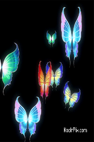  Colourful mariposas