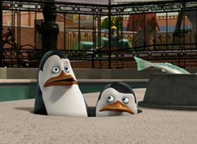  I প্রণয় This Penguins!!!!!!!!!!