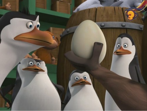  I love This Penguins!!!!!!!!!!