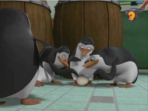  I love This Penguins!!!!!!!!!!