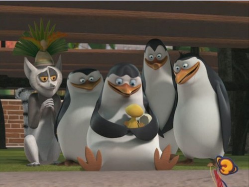  I Cinta this Penguins!!!!!!