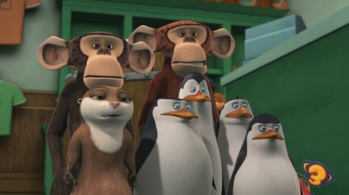  I Liebe this Penguins!!!!!!