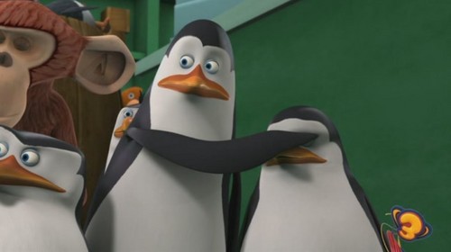  I 사랑 this Penguins!!!!!!