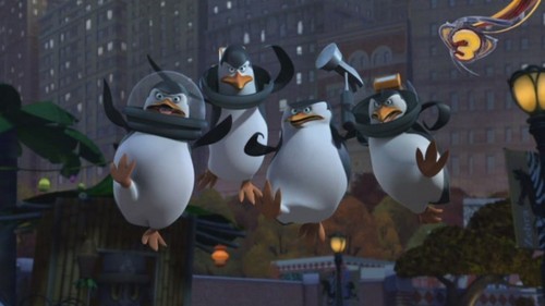  I Liebe this Penguins!!!!!!