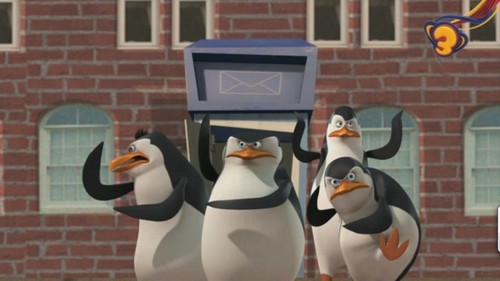  I প্রণয় this Penguins!!!!!!