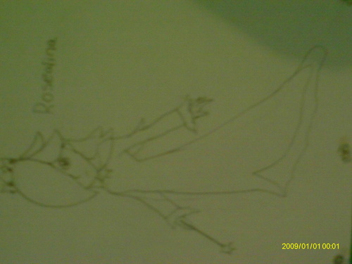 My drawing of Rosalina