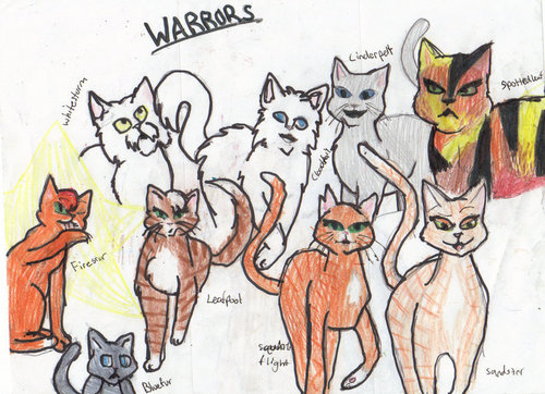 gatos guerreiros