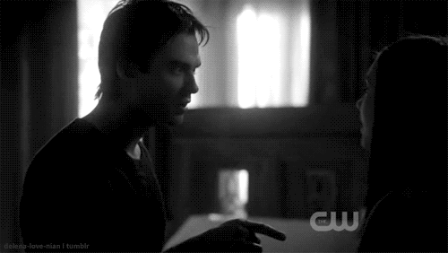  Damon/Elena 2x20