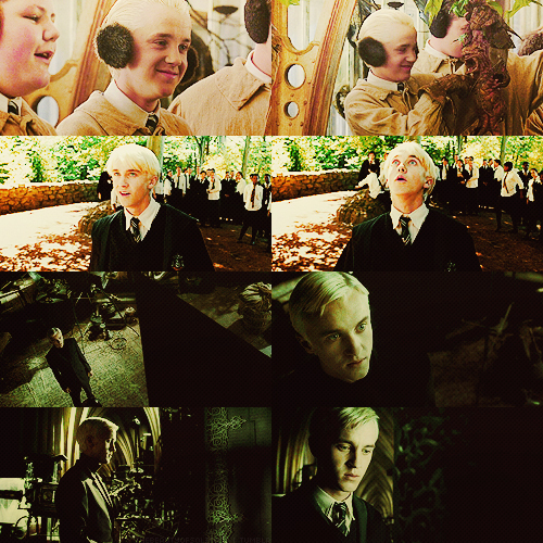  Draco <3
