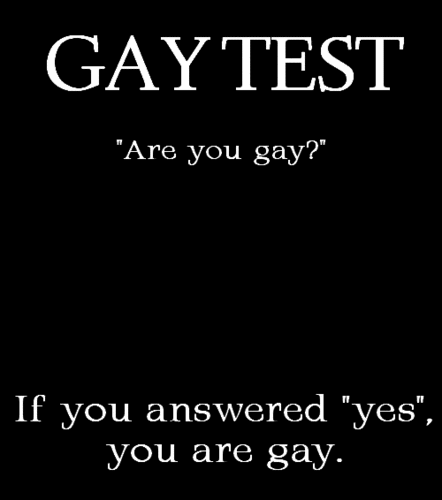  Gay Test