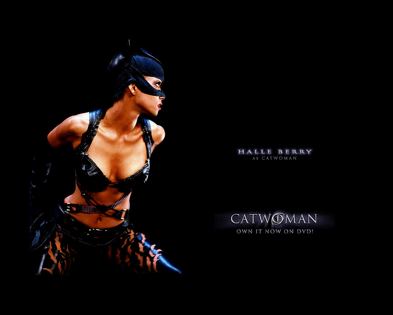 Halle Berry as Catwoman 
