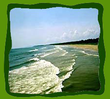  Kozhikode пляж, пляжный