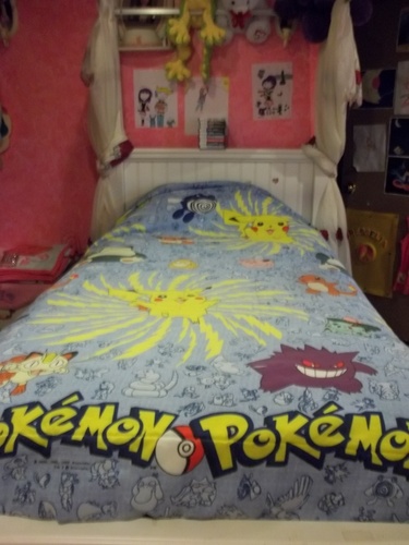 My Pokemon Bed