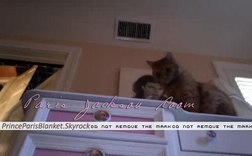 NEW foto * Paris and Cat.. Pretty House!! Room