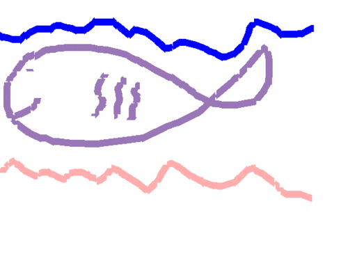  my drawing of a مچھلی