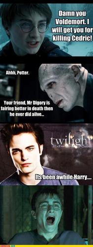  Death Eater Funnies