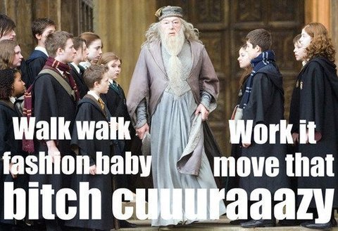  Dumbledore Gaga
