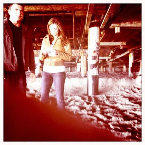  Stana and Dominic Purcell 防弾少年団