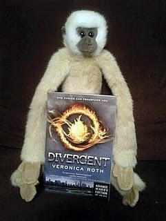  Everyone Loves Divergent