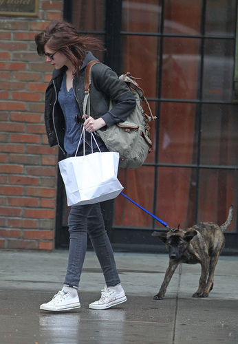  Kristen Stewart Takes Robert Pattinson's Dog медведь Out in NYC