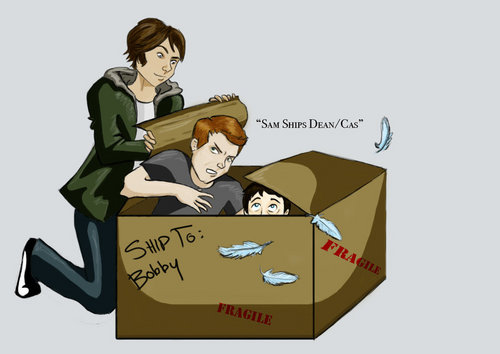  Sam 'ships Dean and Cas