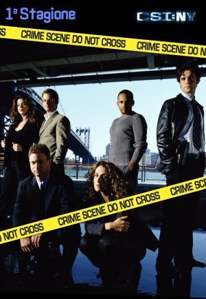  CSI - New York poster (Smacked)
