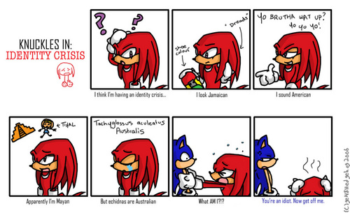  Knuckles in Identity Crisis