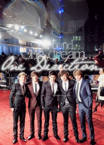  One Direction<3 l’amour these boys<3 ((Some Rare))