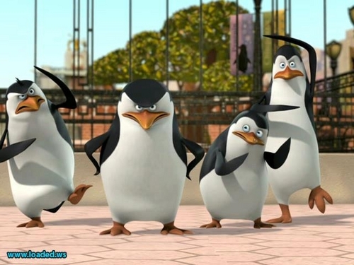पेंग्विन्स ऑफ मॅडगास्कर