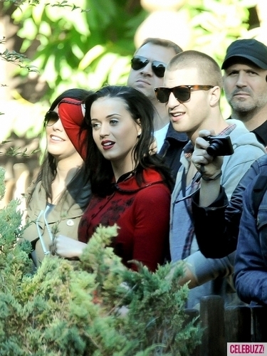  Katy Perry Gets Wild at the Sydney Zoo (PHOTOS)